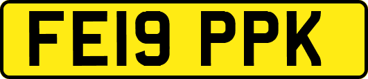 FE19PPK