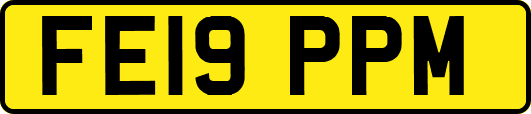 FE19PPM