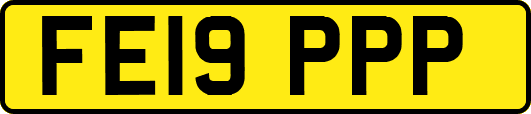 FE19PPP