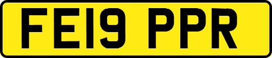 FE19PPR