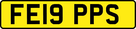 FE19PPS