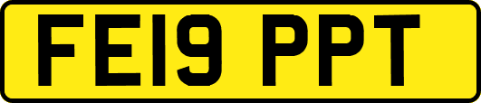 FE19PPT