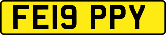 FE19PPY