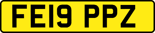 FE19PPZ