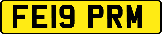 FE19PRM