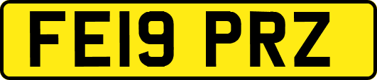 FE19PRZ