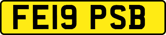 FE19PSB