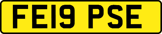 FE19PSE