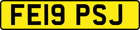 FE19PSJ