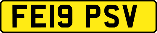 FE19PSV