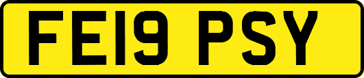 FE19PSY