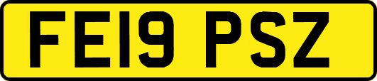FE19PSZ