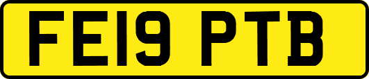 FE19PTB