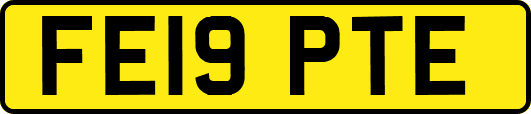 FE19PTE