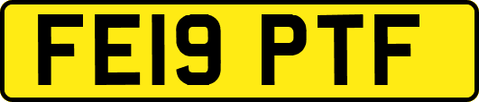 FE19PTF