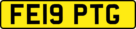 FE19PTG