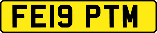 FE19PTM