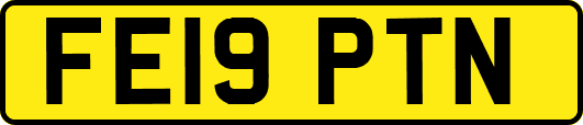 FE19PTN