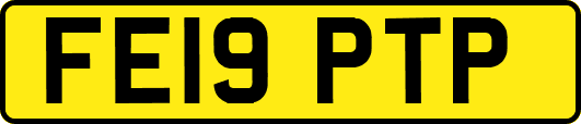 FE19PTP