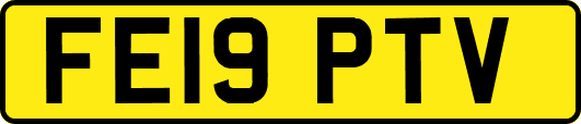 FE19PTV