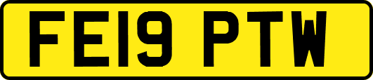 FE19PTW