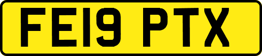 FE19PTX