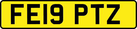 FE19PTZ