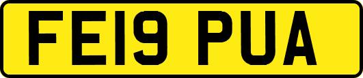 FE19PUA