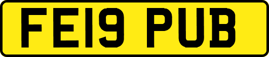 FE19PUB