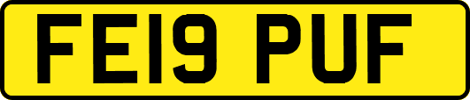FE19PUF