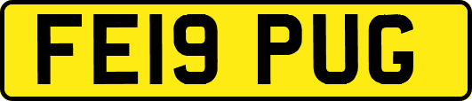FE19PUG