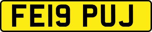 FE19PUJ
