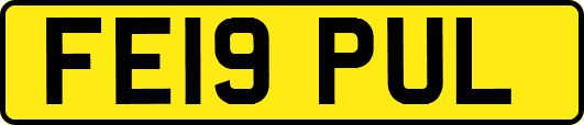 FE19PUL