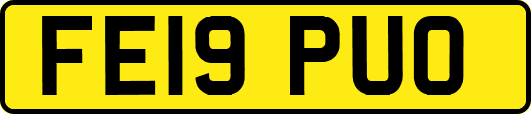 FE19PUO