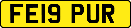 FE19PUR