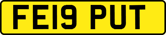 FE19PUT