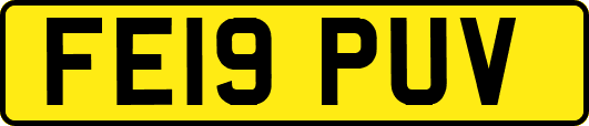 FE19PUV