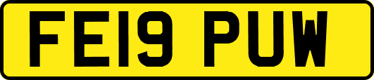 FE19PUW