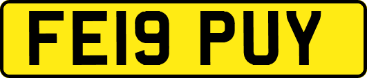 FE19PUY