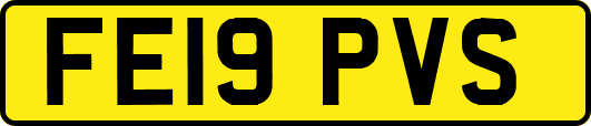 FE19PVS