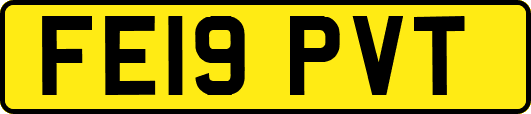 FE19PVT