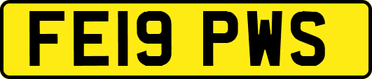 FE19PWS