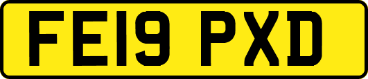 FE19PXD