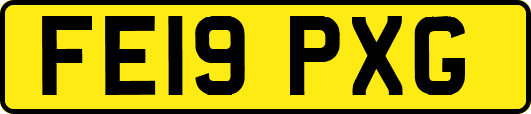 FE19PXG