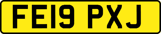 FE19PXJ