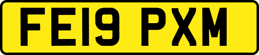 FE19PXM