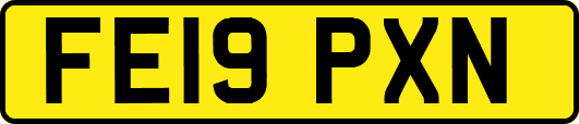 FE19PXN