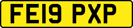 FE19PXP