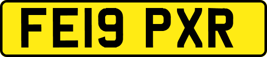 FE19PXR