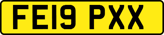 FE19PXX